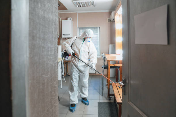 Best Water Damage & Mold Remediation  in USA