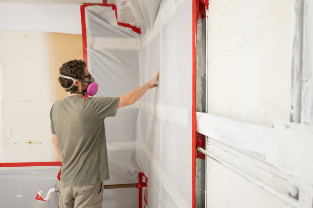 Best Mold Prevention Services  in USA